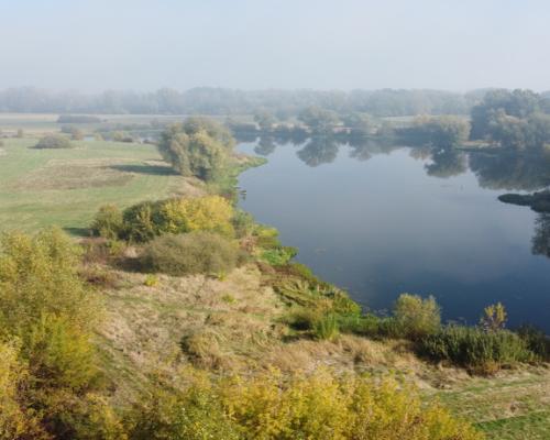 Domek na działce w Solcu n/Wisłą pow. lipski.
