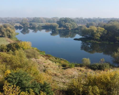 Domek na działce w Solcu n/Wisłą pow. lipski.