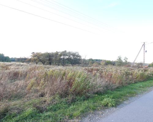 Działka budowlana 15 ar Kozioł g. Baranów