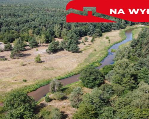 Działka letniskowa 800 m2 w Woli Chodkowskiej.