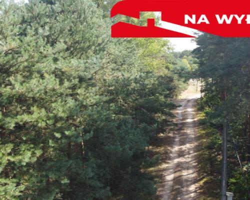 Działka letniskowa 800 m2 w Woli Chodkowskiej.