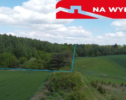 Działka 2,15 ha z potencjałem koło Nałęczowa.