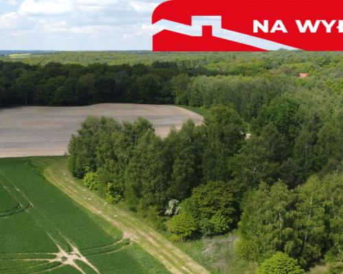 Działka 2,15 ha z potencjałem koło Nałęczowa.