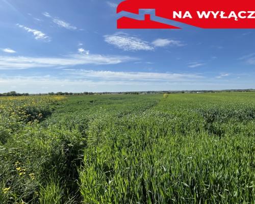 Działka 0,82ha U/MN Wólka gm. Długie pod Lublinem.