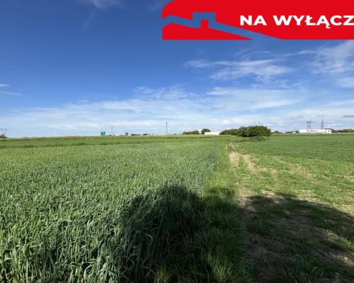 Działka 0,82ha U/MN Wólka gm. Długie pod Lublinem.