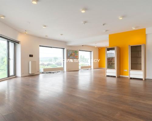 Nowoczesny lokal 102 m², Balicka, Kraków