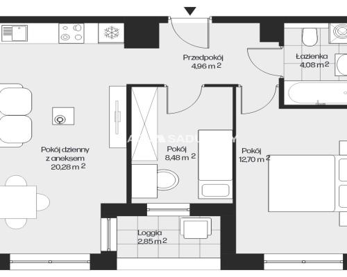 MIESZKANIA Z WIDOKIEM NA PARK  - MISTRZEJOWICE