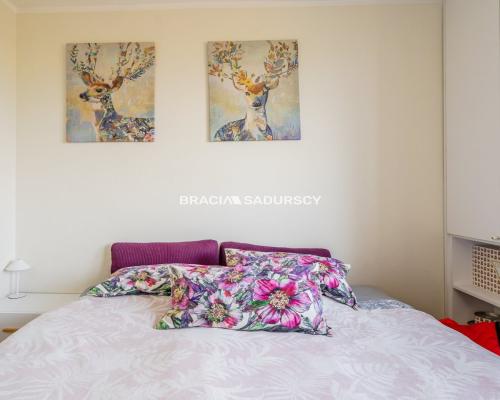 Przytulne dwa pokoje z pięknym widokiem