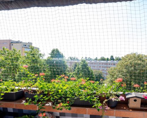 KRAKÓW, BIEŃCZYCE, os. Niepodległości