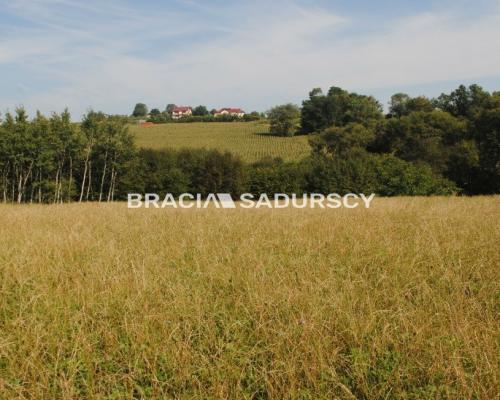 Okazja!!!Do sprzedania duża nieruchomość .