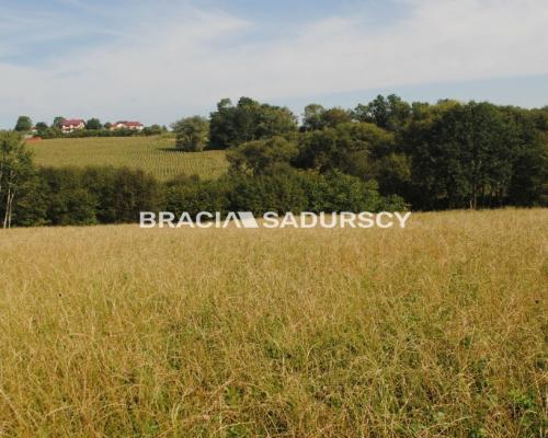Okazja!!!Do sprzedania duża nieruchomość .