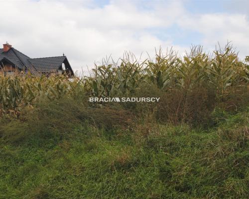 Działka budowlana w Proszowicach