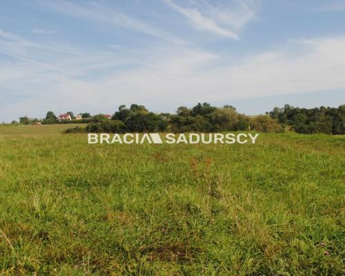 Okazja!!!Do sprzedania duża nieruchomość .