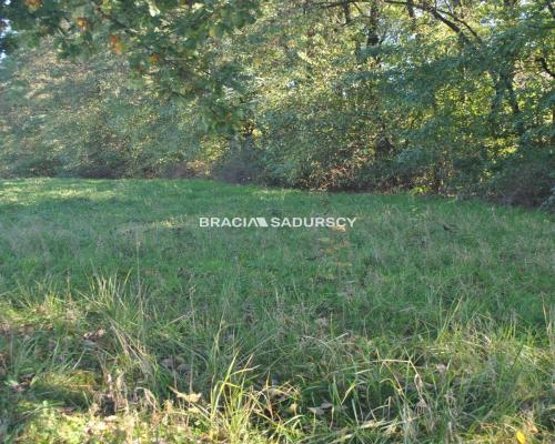 Duża działka budowlano-rolna w Gdowie.