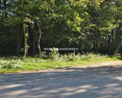 Duża działka budowlano-rolna w Gdowie.