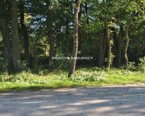 Duża działka budowlano-rolna w Gdowie.