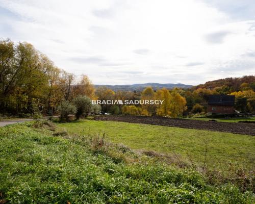 Działka 57 arów – Zawada Lanckorońska- Zakliczyn