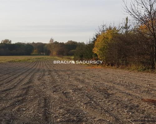 płaska działka o powierzchni 85 arów, w tym 15 a
