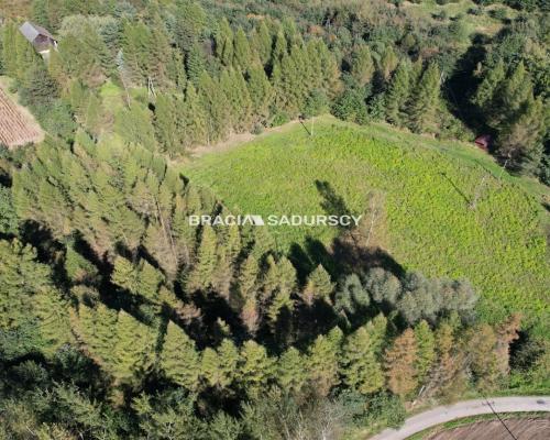 Działka budowlana 8900 m2 Poręba Żegoty