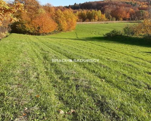 Działka położona jest we wsi Komorniki.