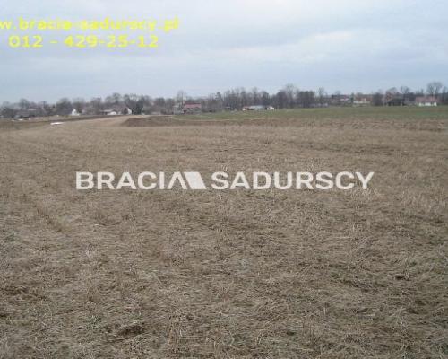 działka rolno-budowlana o powierzchni 89 arów