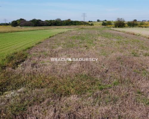 Słoneczna działka zagrodowa w Modlniczce