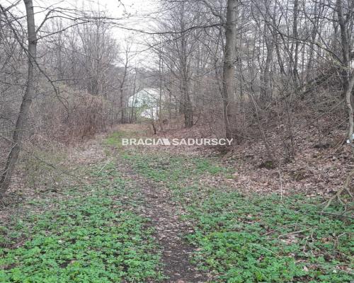 Działka budowlana w otoczeniu lasu 