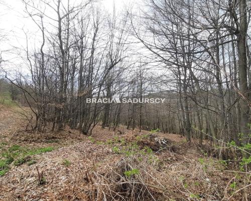 Działka budowlana w otoczeniu lasu 