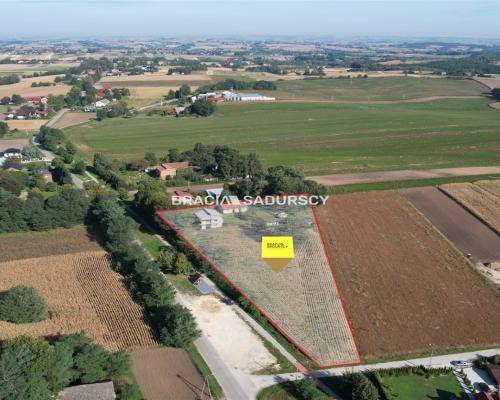 Sieradzice gmina Kazimierza Wielka