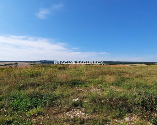 Działka usługowa przy drodze wojewódzkiej nr 794
