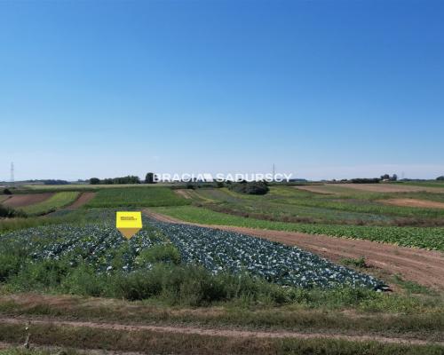 Działki rolne Proszowice