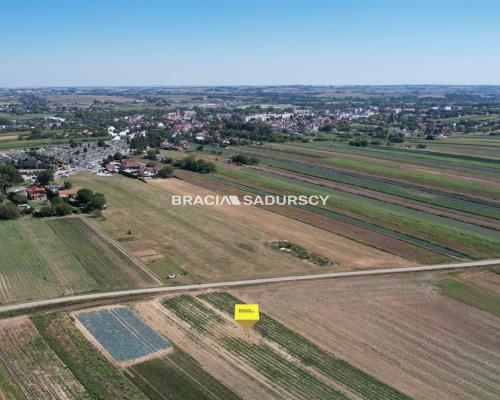 Działki rolne Proszowice