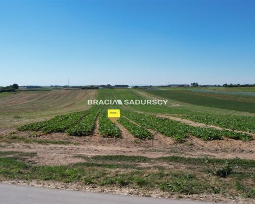 Działki rolne Proszowice