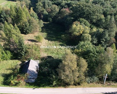 Poręba Żegoty, gmina Alwernia.