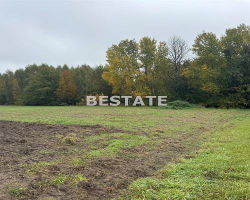Działka 3 000m2 pod lasem w dobrej cenie.