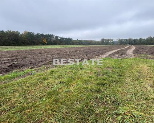 Działka 3 000m2 pod lasem w dobrej cenie.