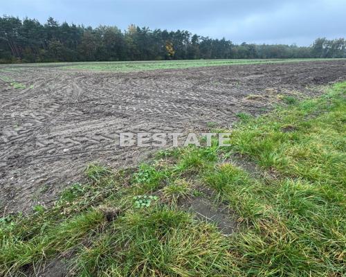 Działka 3 000m2 pod lasem w dobrej cenie.