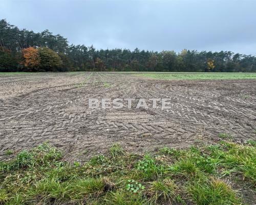 Działka 3 000m2 pod lasem w dobrej cenie.
