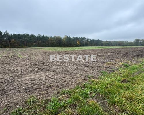 Działka 3 000m2 pod lasem w dobrej cenie.