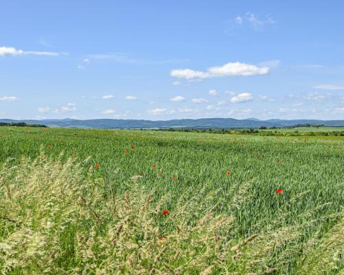 DZIAŁKA BUDOWLANA Z WIDOKIEM NA GÓRY/ KRZCZONÓW