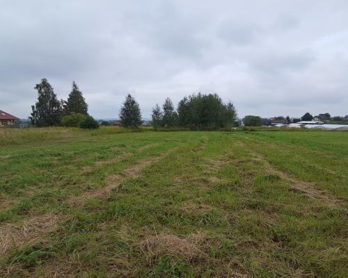 Opole Lubelskie - 1,24 ha - malownicza okolica