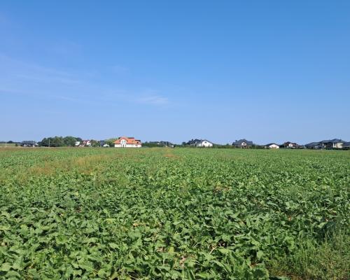 Uzbrojona działka. Gm. Puchaczów