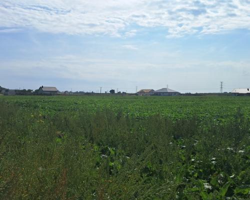 Uzbrojona działka. Gm. Puchaczów