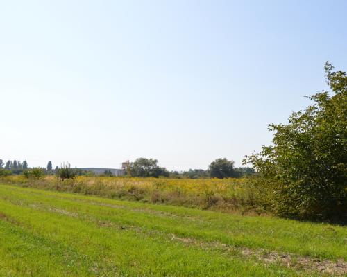 Działka Lublin-Zadębie inwestycyjna/budowlana