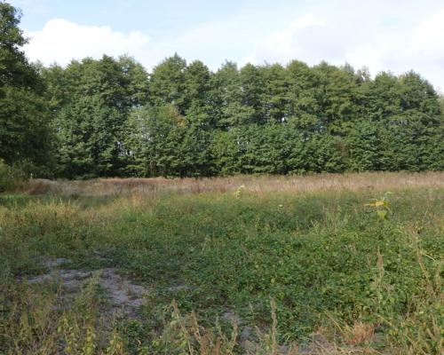 Piękna działka w Parku Krajobrazowym