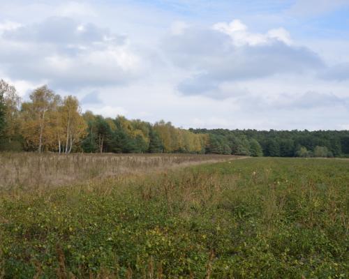 Piękna działka w Parku Krajobrazowym