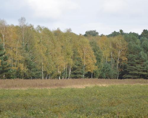 Piękna działka w Parku Krajobrazowym