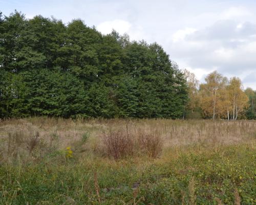 Działka, Klarów, 1,09 ha