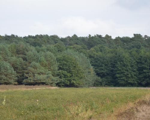 Działka, Klarów, 1,09 ha