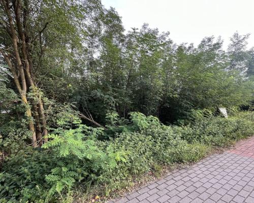 Wola Chodkowska gm. Kozienice - działka budowlana.